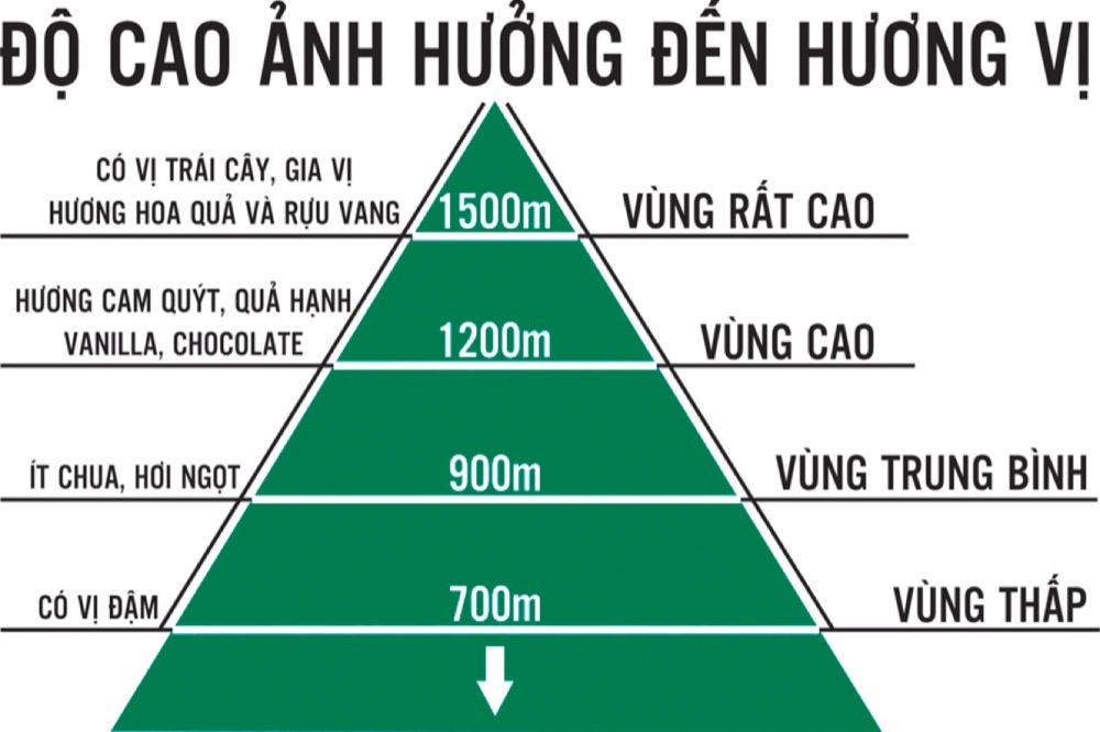 Hình ảnh Darmin 26