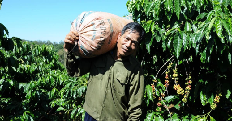 Hình ảnh Darmin 30