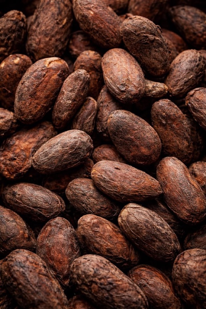 Cacao Hạt Rang Mộc